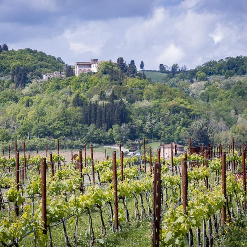 AMAZING PRIVATE – COOKING CLASS, ANTINORI STOP & CHIANTI CLASSICO WINE TOUR – Tour length 8 hrs and 30 min