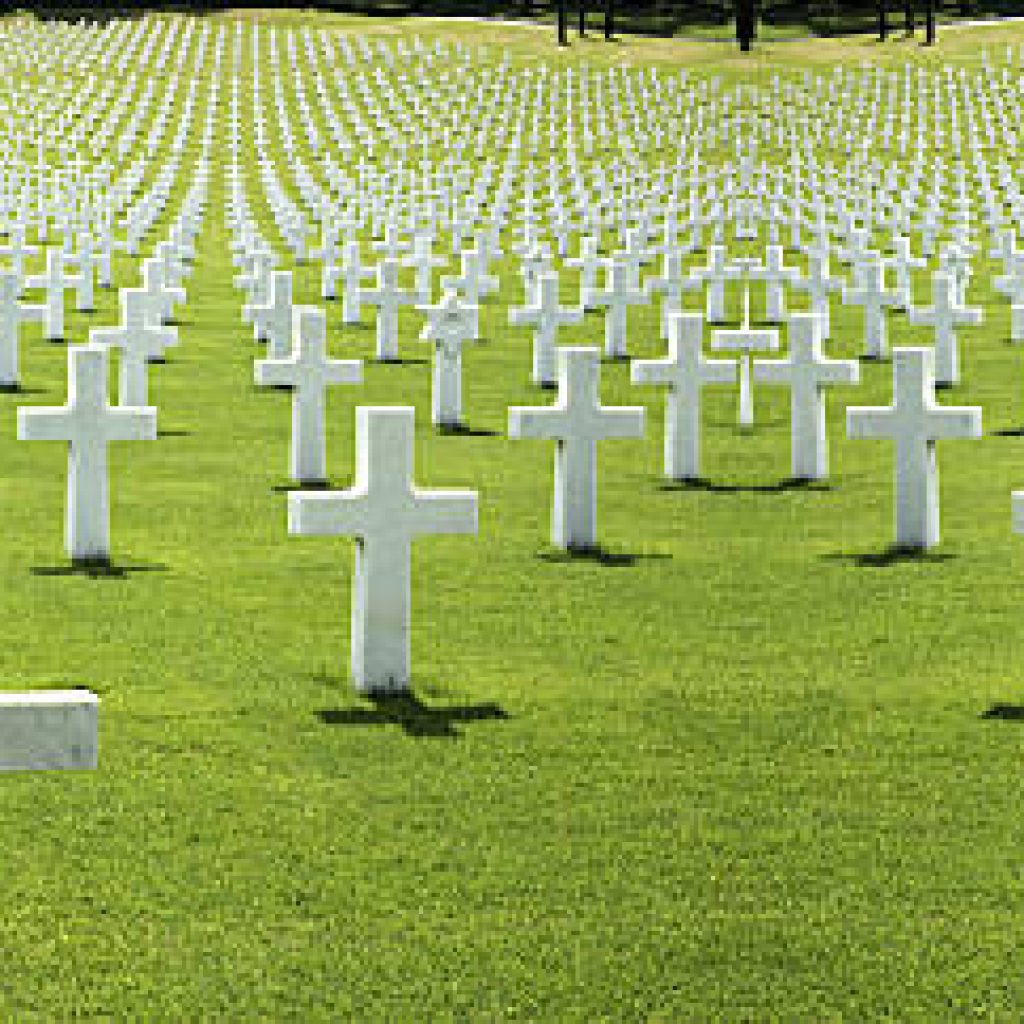 cemetery of the Americans in Florence, green grass and crosses