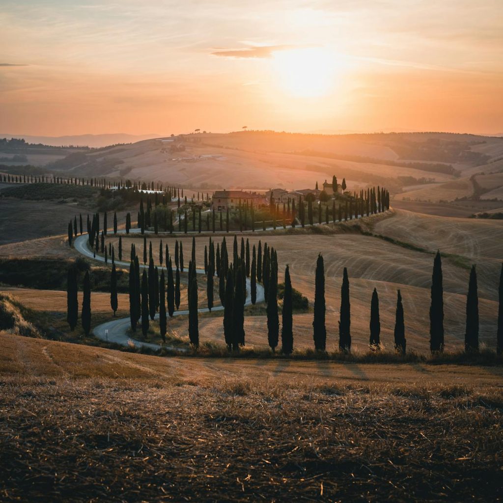 AMAZING PRIVATE – NOBILE WINE & PECORINO TOUR IN VALDORCIA: PIENZA & MONTEPULCIANO – Tour length 10 hrs