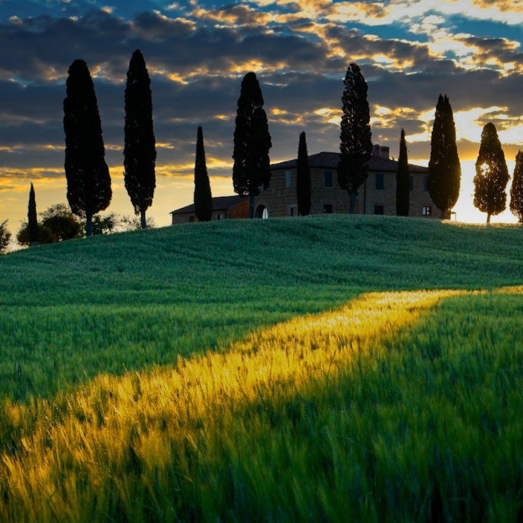 AMAZING PRIVATE – ALL THE BEAUTY OF VALDORCIA: MONTALCINO, PIENZA & MONTEPULCIANO – Tour length 11 hrs.