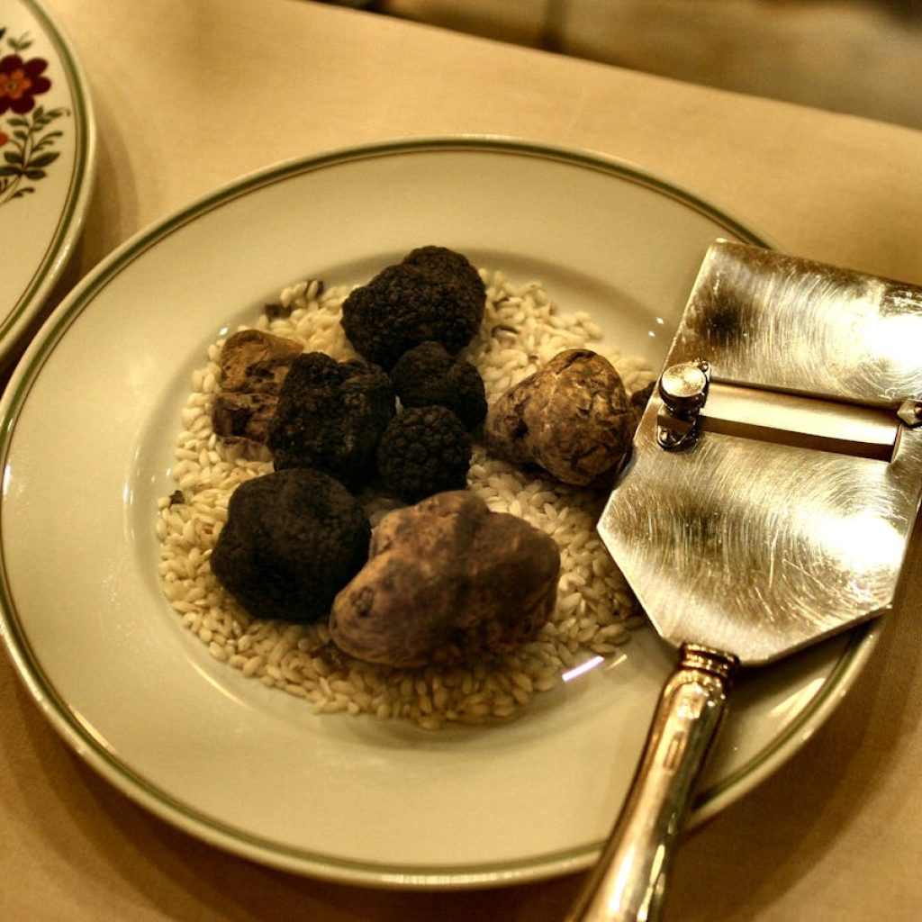 AMAZING PRIVATE – TRUFFLE HUNTING WITH DOGS, SAN GIMIGNANO & CHIANTI CLASSICO WINE TOUR – Tour length 8 hrs and 30 min